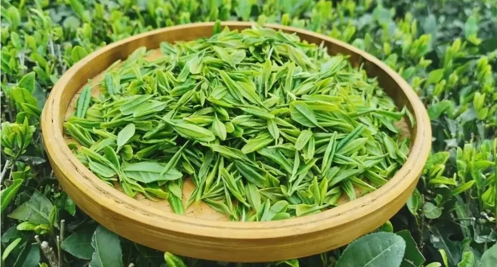茶叶礼盒包装印刷，包装案例图片
